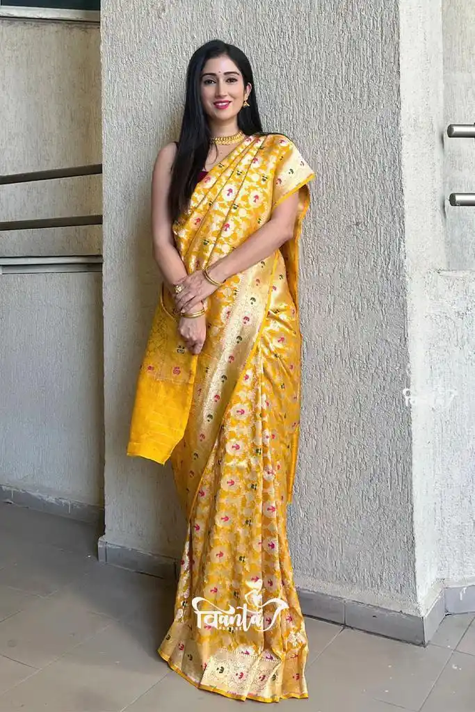 Woven Kanjivaram , Banarasi Jacquard Saree.png