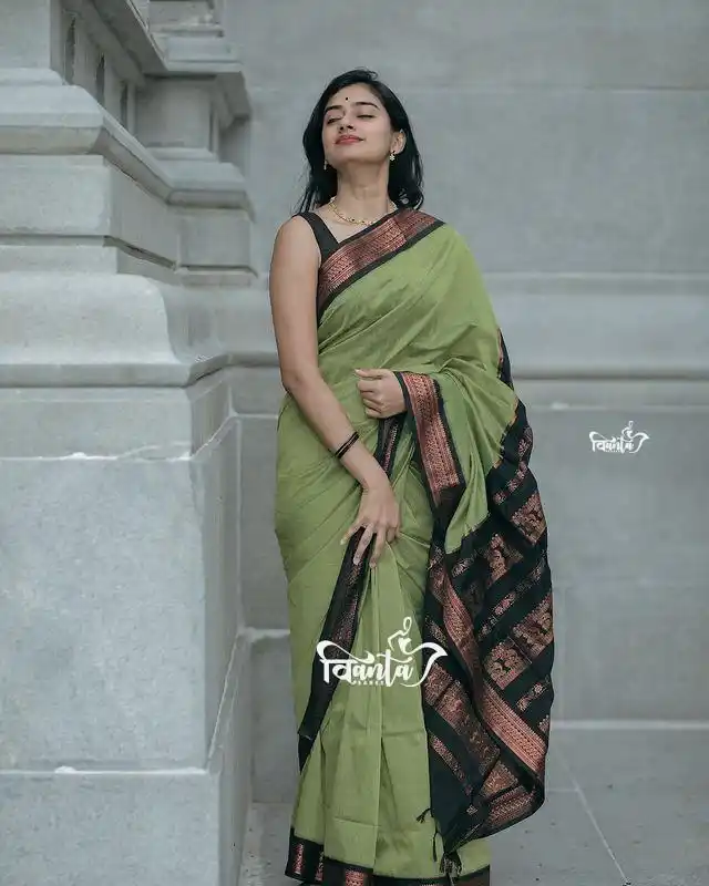 Pista Green Banarasi Silk Wedding & Party Wear Saree & Unstiched Blouse For Women.png