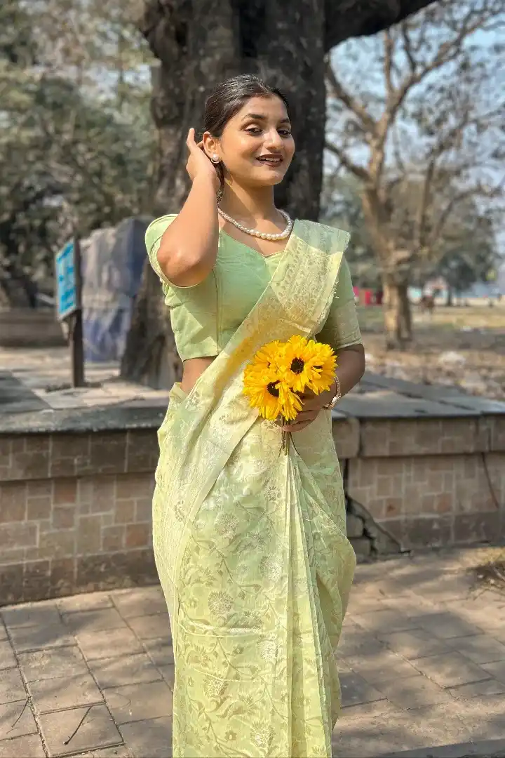 Premium Banarasi Silk Chanderi Saree.png