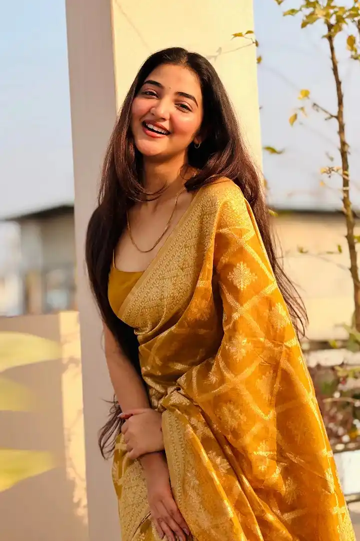 Premium Banarasi Silk Chanderi Saree.png