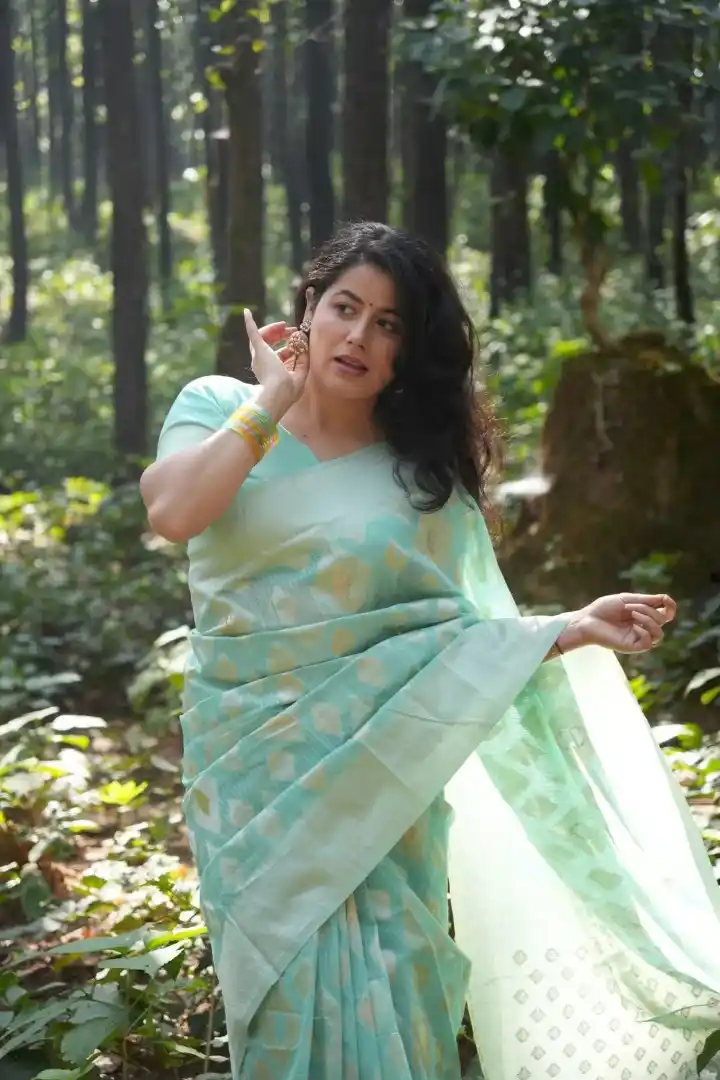 Premium Banarasi Silk Chanderi Saree.png