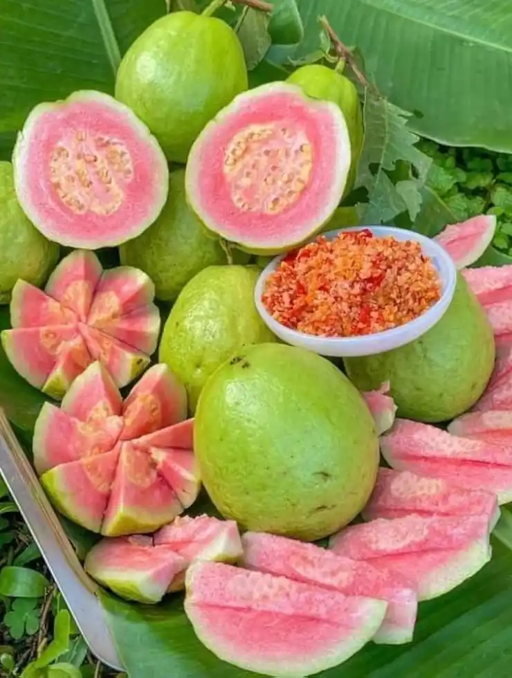  Taiwan Pink Guava Grafted Plant for Home Gardening..png
