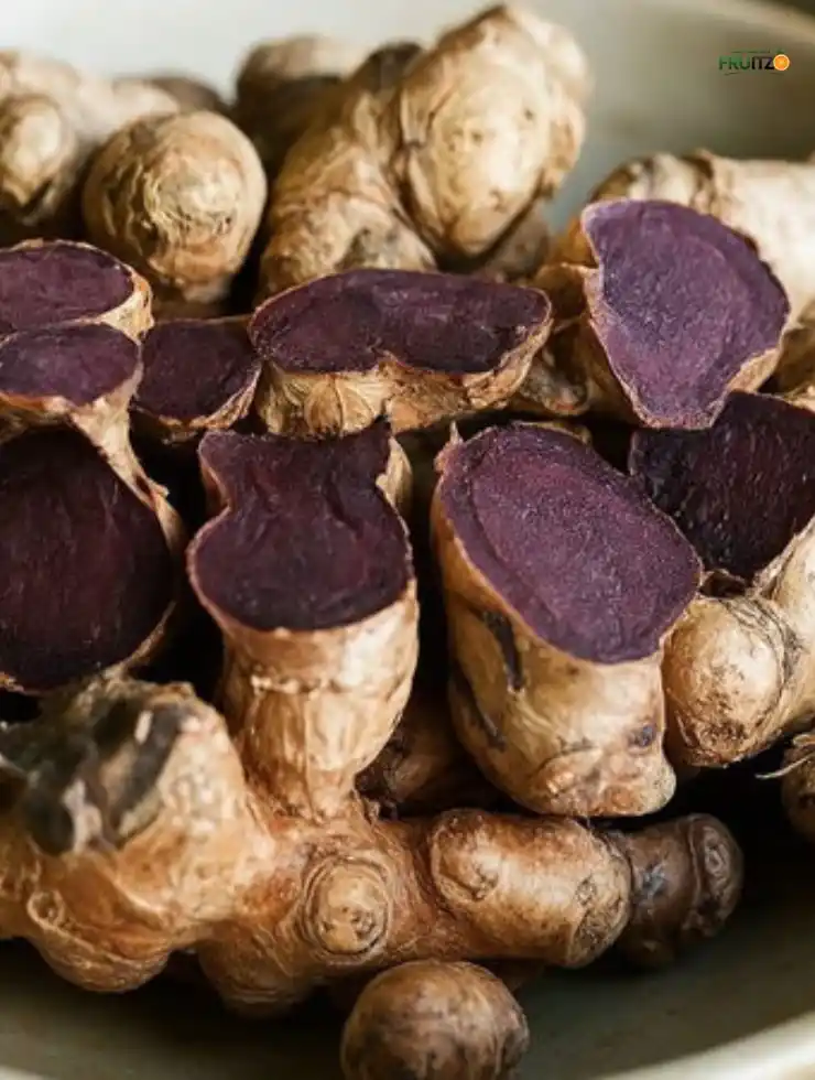 Black Ginger (Kaempferia parviflora) Rare Medicinal  Plant For Home and Terrace Garden..png