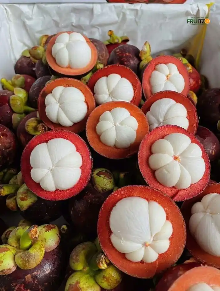 Mangosteen Grafted Fruit Plant For Your Home | Terrace Garden.png
