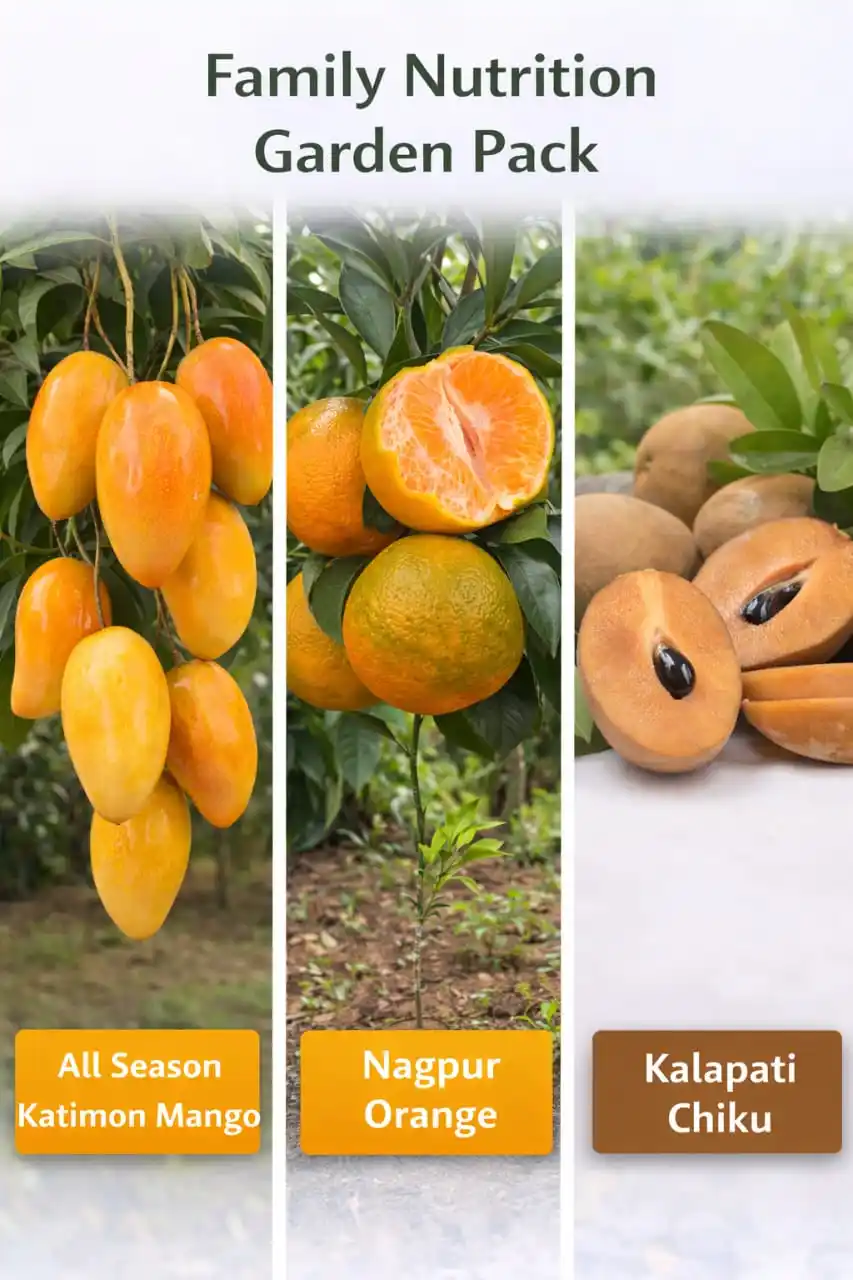 The Family Nutrition Garden Pack Grafted & Healthy Plants (1.5--2.5'ft).png