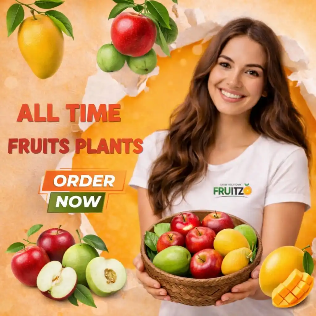 All Time Fruits .png