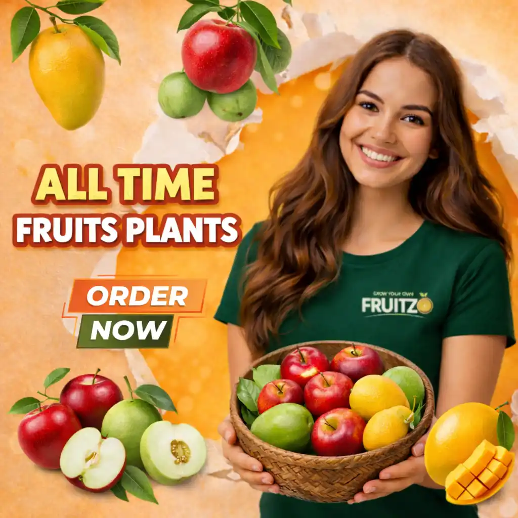 All Time Fruits .png