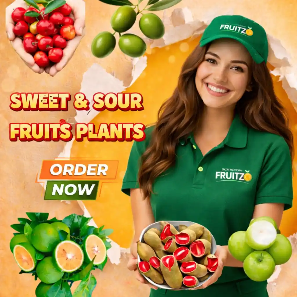 Sweet & Sour.png