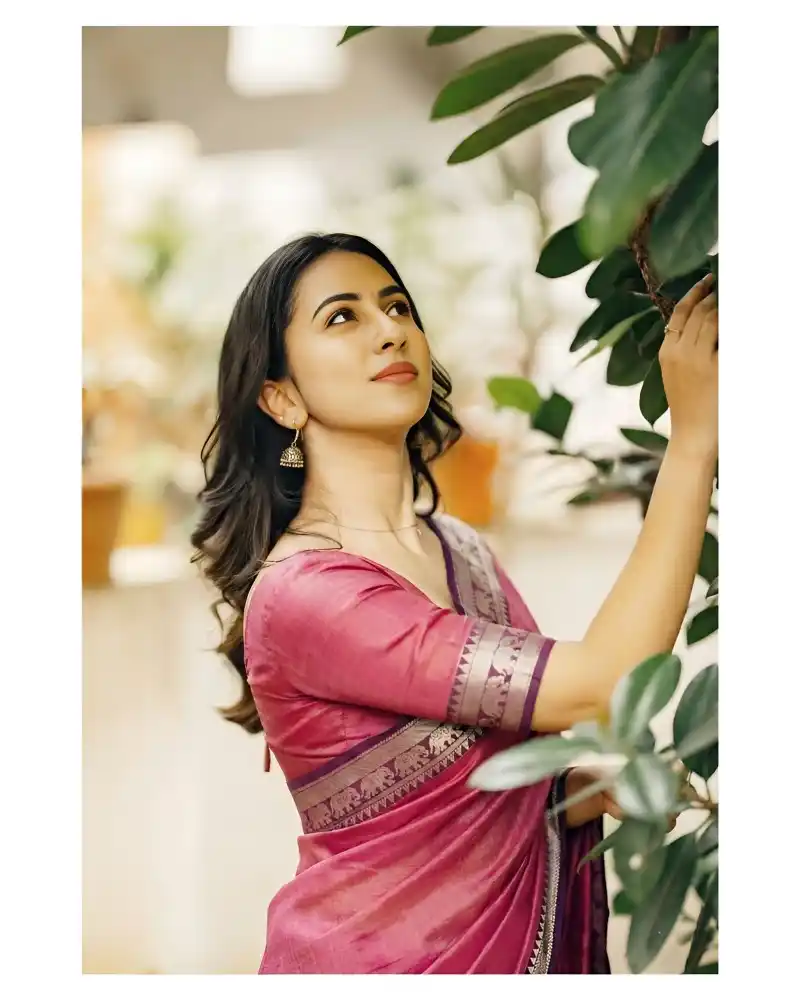 Elephant Border Narayan Pet Pure Cotton Saree.png