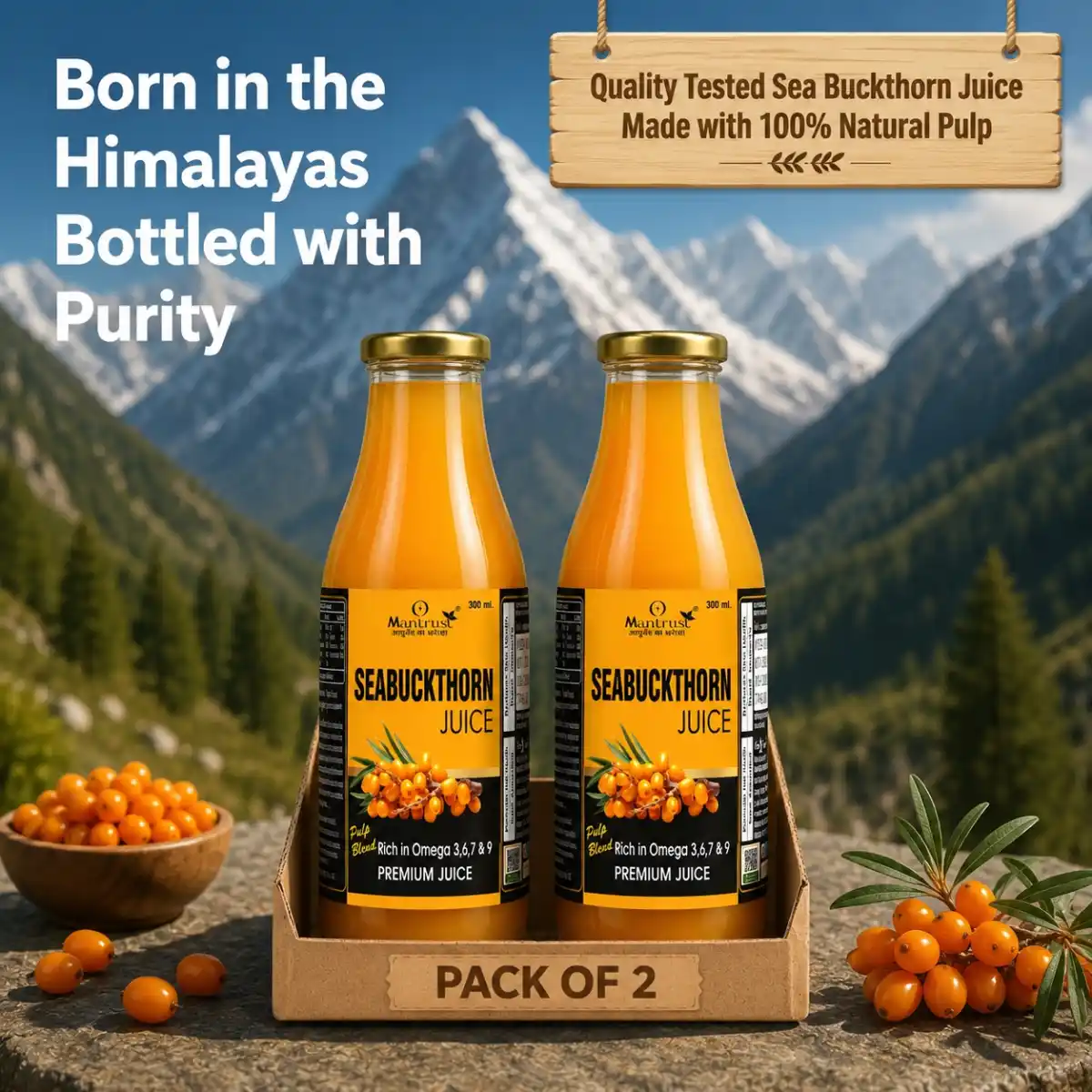 Natural Himalayan Sea Buckthorn Pulp – BUY 1  Get 1 FREE ! Pure Superfood for Immunity, Skin & Daily Wellness.png