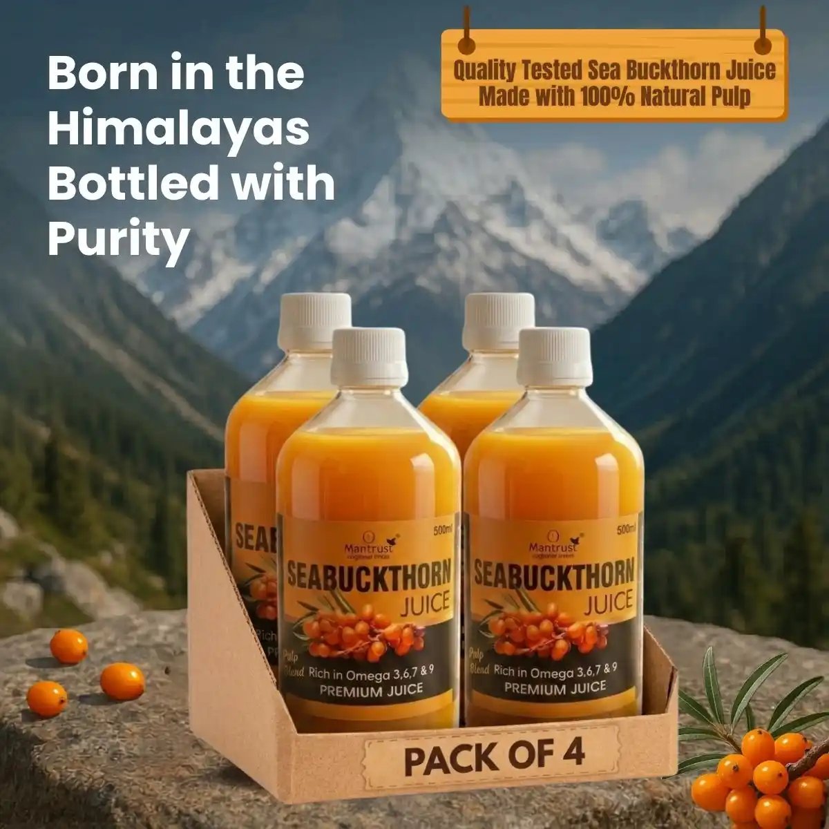 100% Natural Himalayan Sea Buckthorn Pulp – Pure Superfood for Immunity, Skin & Daily Wellness.png