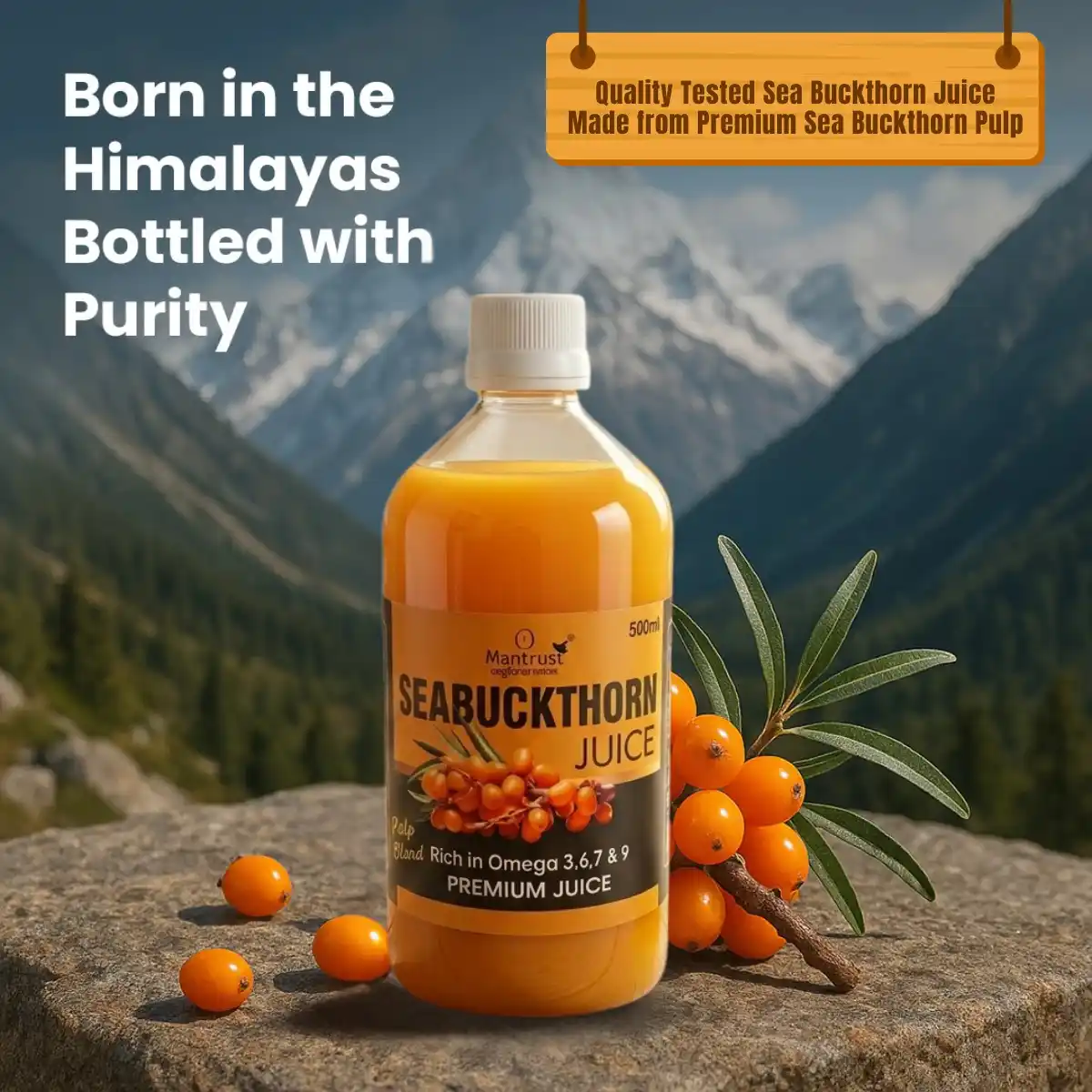 100% Natural Himalayan Sea Buckthorn Pulp – Pure Superfood for Immunity, Skin & Daily Wellness.png