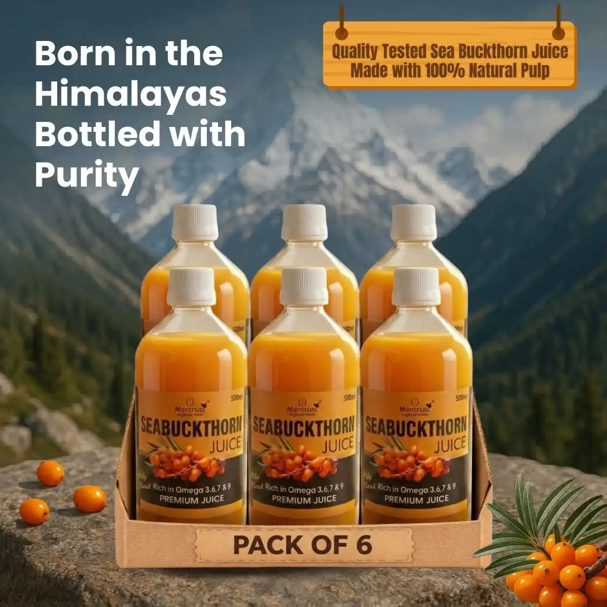 100% Natural Himalayan Sea Buckthorn Pulp – Pure Superfood for Immunity, Skin & Daily Wellness.png