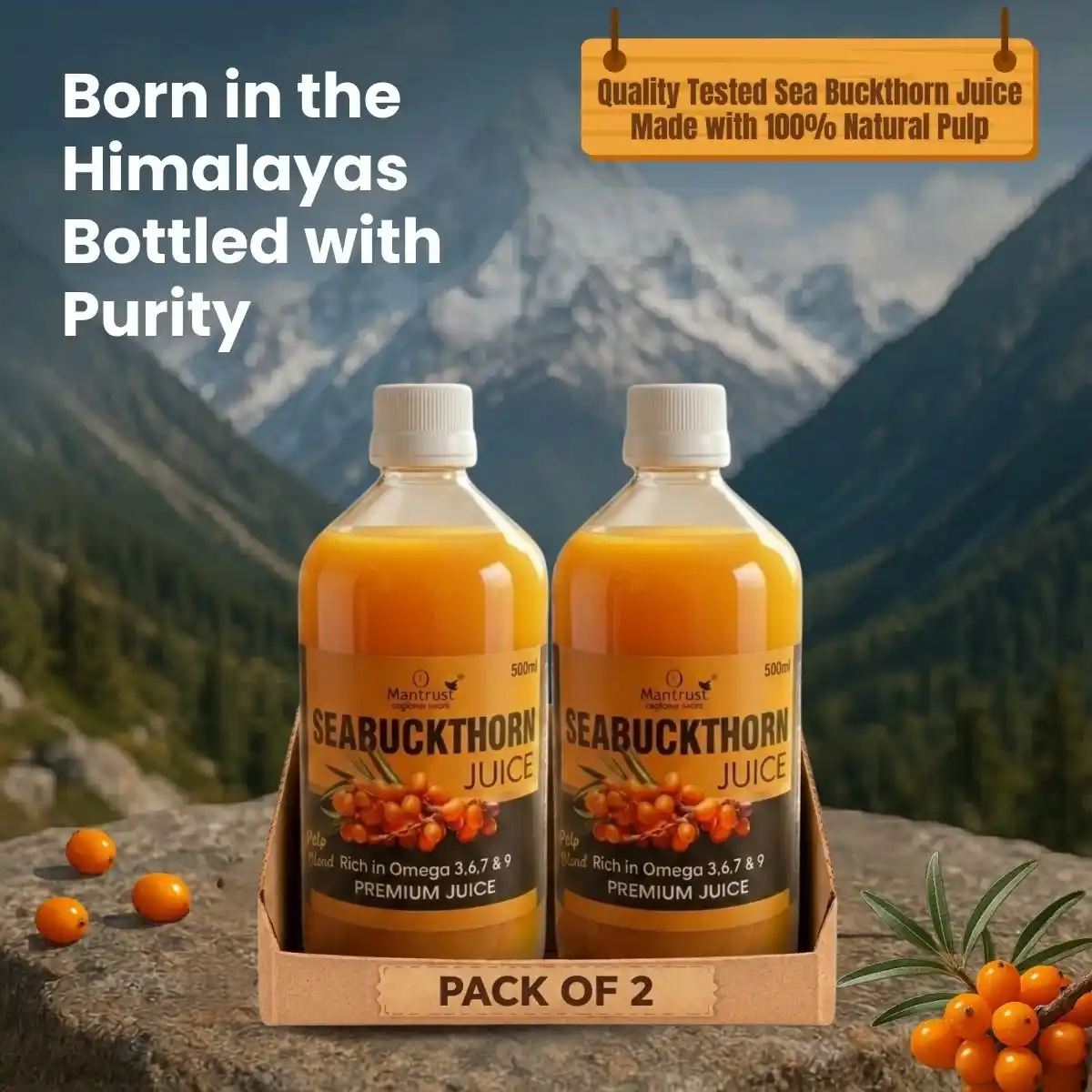 100% Natural Himalayan Sea Buckthorn Pulp – BUY 1  Get 1 FREE ! Pure Superfood for Immunity, Skin & Daily Wellness.png